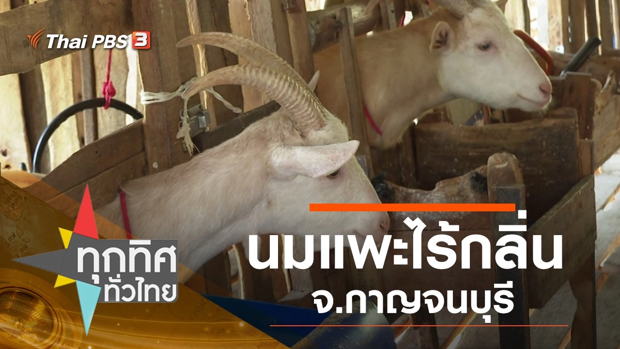 ประเด็นข่าว (15 ม.ค. 63)