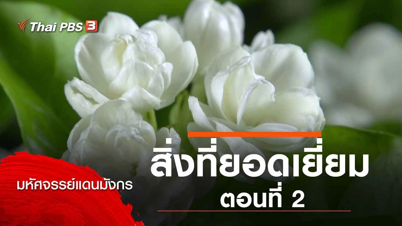 สิ่งที่ยอดเยี่ยม ตอนที่ 2