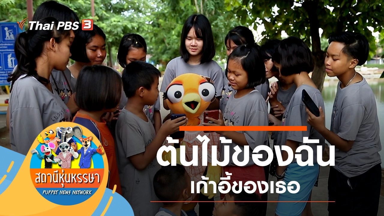 ต้นไม้ของฉันเก้าอี้ของเธอ