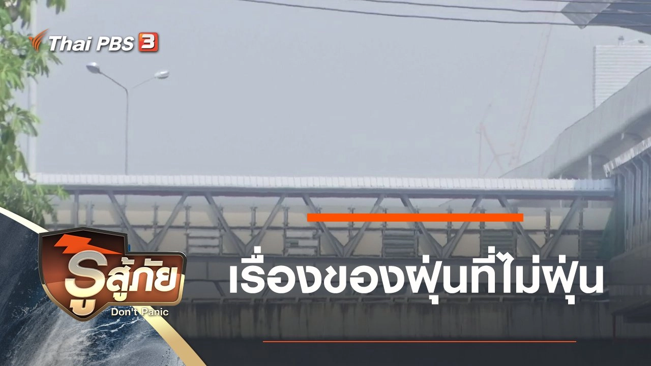 ​เรื่องของฝุ่นที่ไม่ฝุ่น