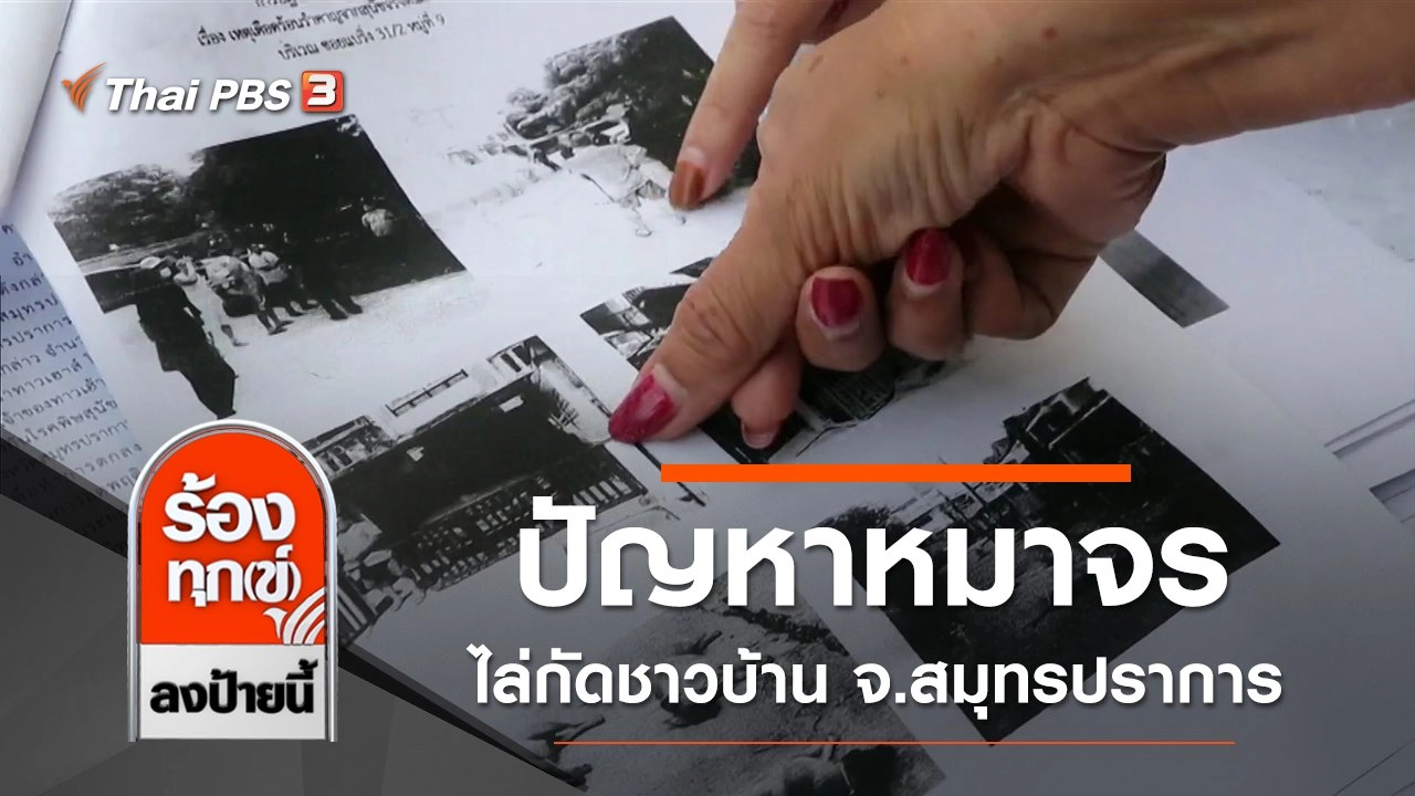 ปัญหาหมาจรไล่กัดชาวบ้าน จ.สมุทรปราการ