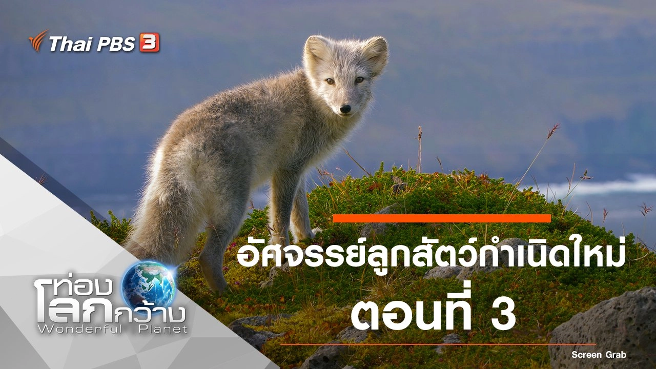 อัศจรรย์ลูกสัตว์กำเนิดใหม่ ตอนที่ 3