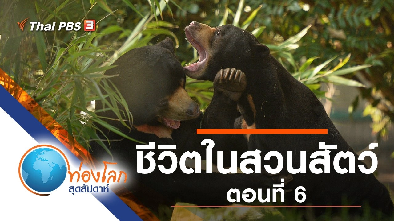 ชีวิตในสวนสัตว์ ตอนที่ 6