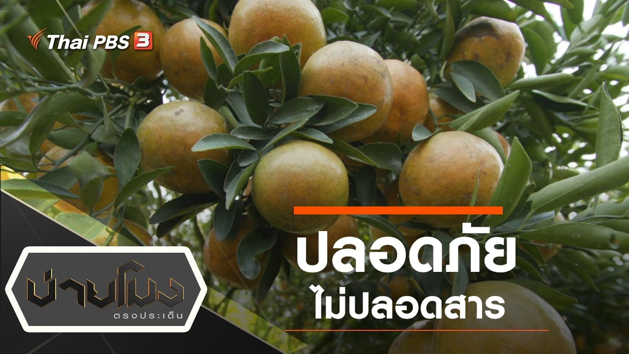 ประเด็นข่าว (24 ม.ค. 63)