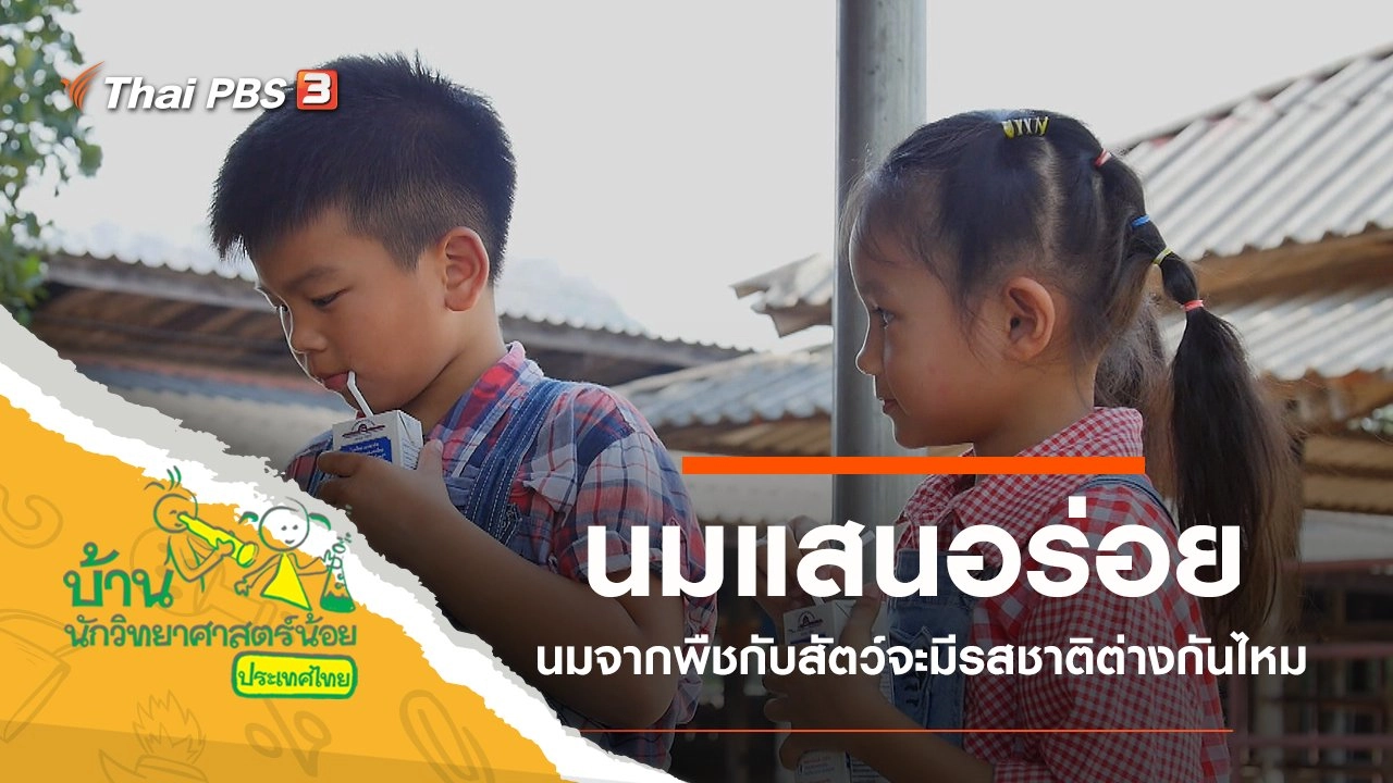 นมแสนอร่อย