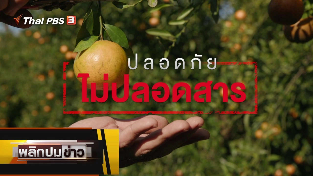 ปลอดภัยไม่ปลอดสาร