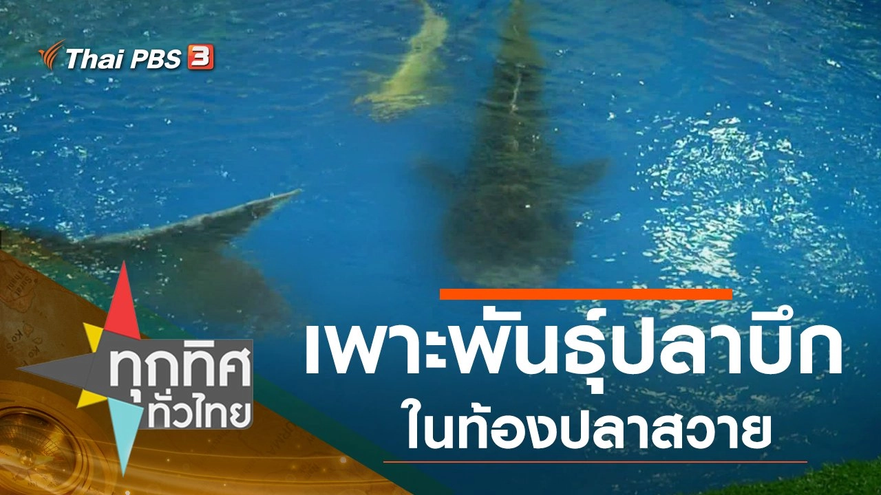 ประเด็นข่าว (22 ม.ค. 63)