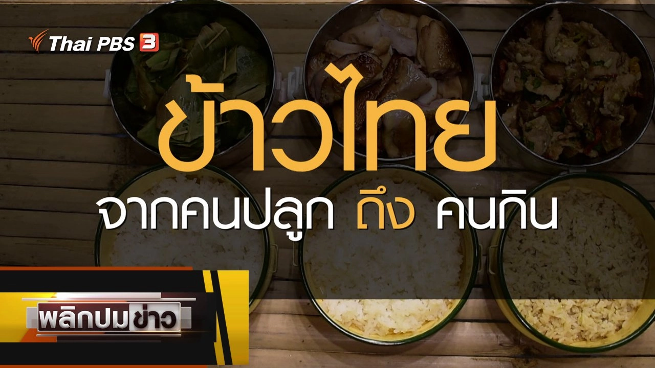 ข้าวไทย จากคนปลูกถึงคนกิน