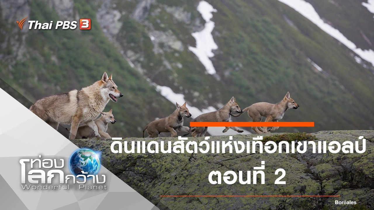 ดินแดนสัตว์แห่งเทือกเขาแอลป์ ตอนที่ 2
