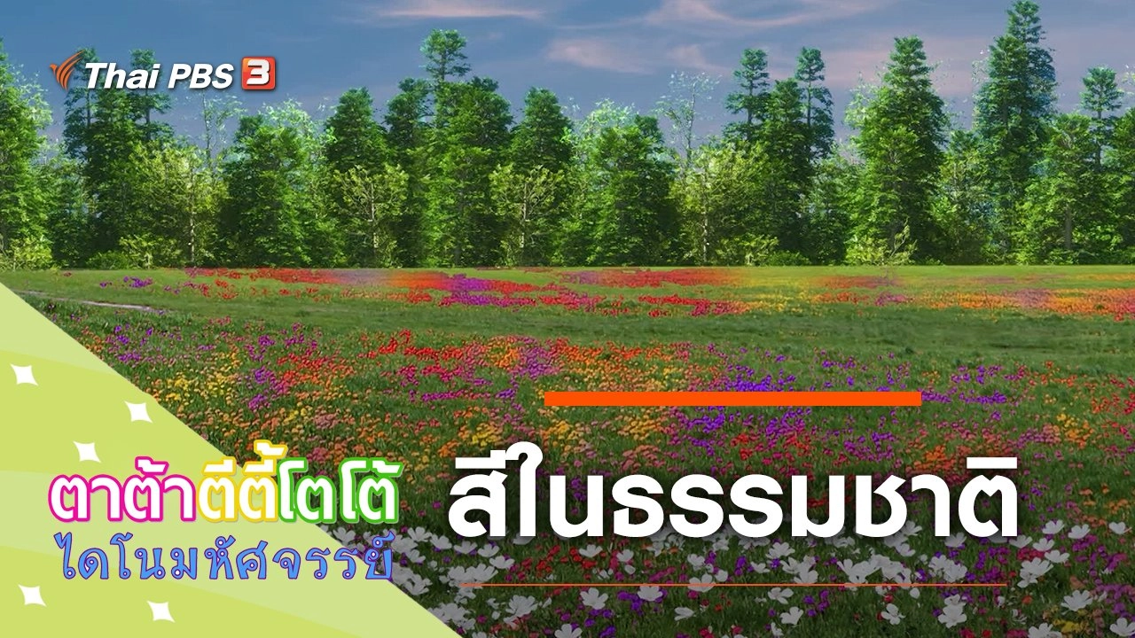 สีในธรรมชาติ