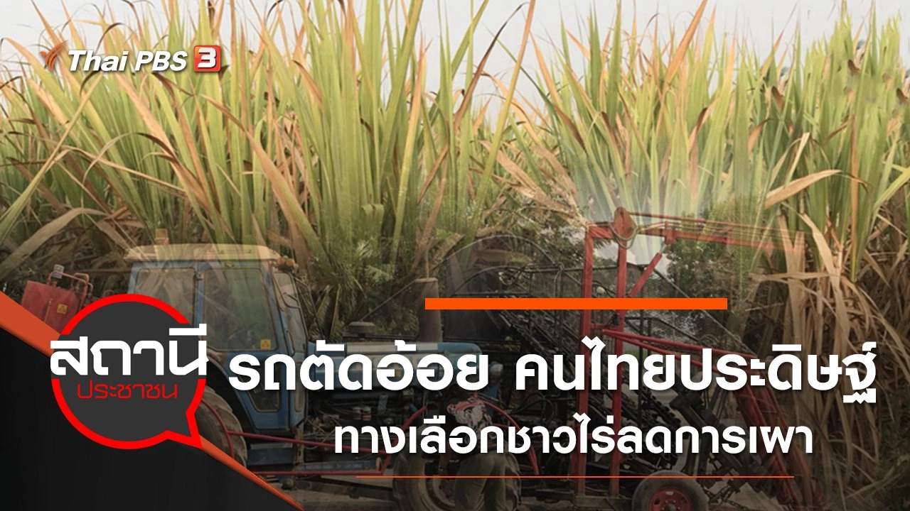 รถตัดอ้อย "คนไทยประดิษฐ์" ทางเลือกชาวไร่ลดการเผา จ.สุพรรณบุรี