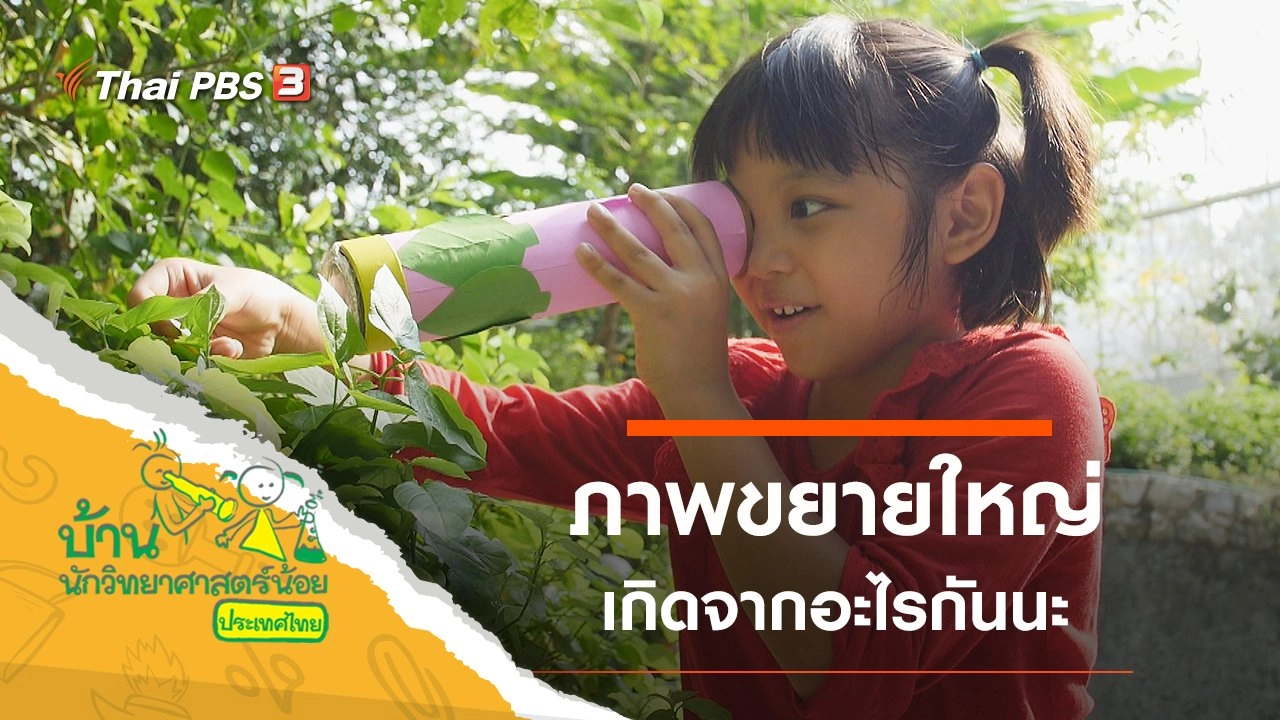 ภาพขยายใหญ่