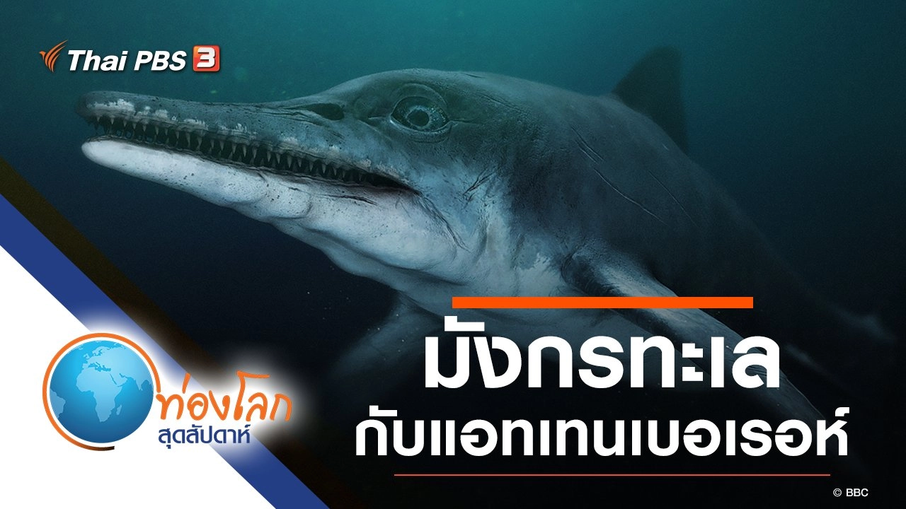 มังกรทะเลกับแอทเทนเบอเรอห์