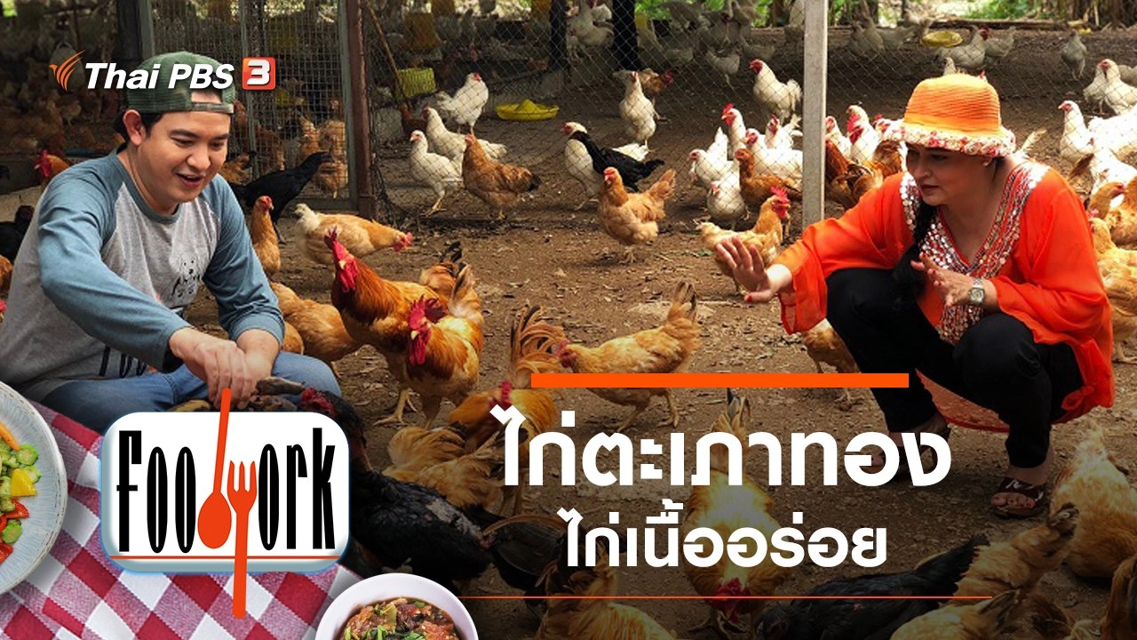 ไก่ตะเภาทอง