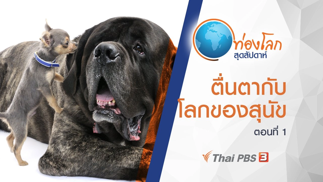ตื่นตากับโลกของสุนัข ตอนที่ 1