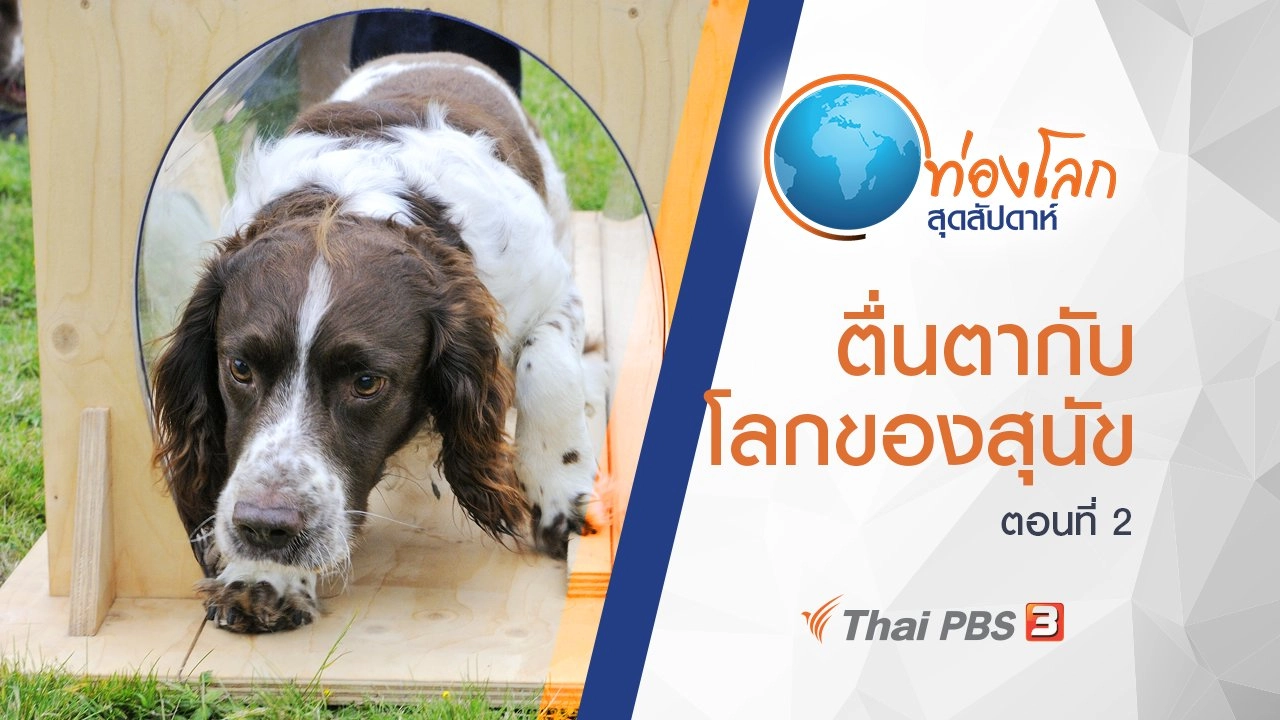 ตื่นตากับโลกของสุนัข ตอนที่ 2