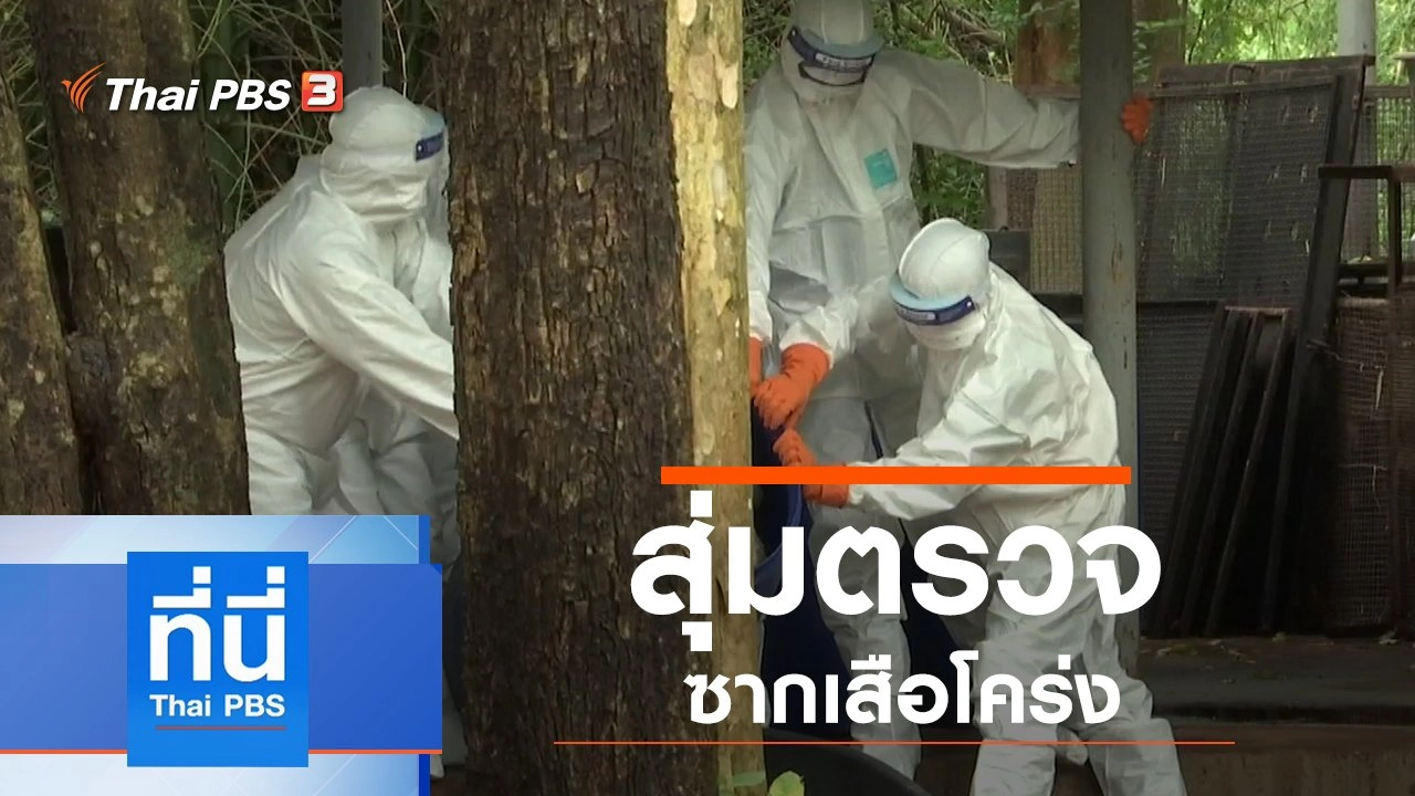 ประเด็นข่าว (20 ก.ย. 62)