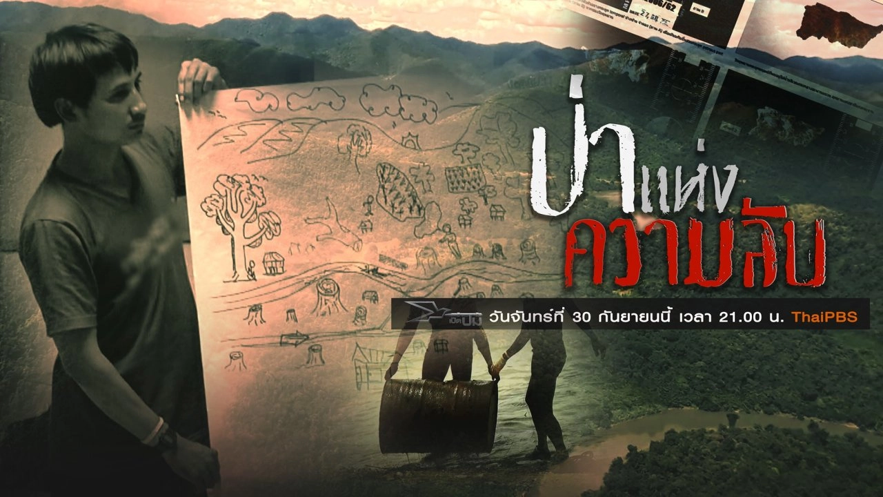 ป่าแห่งความลับ