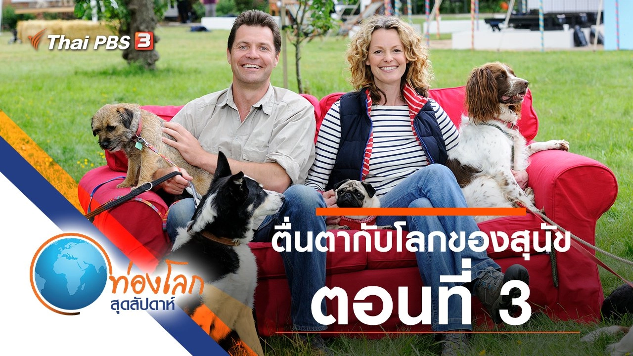 ตื่นตากับโลกของสุนัข ตอนที่ 3