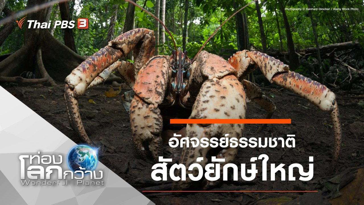 อัศจรรย์ธรรมชาติสัตว์ยักษ์ใหญ่