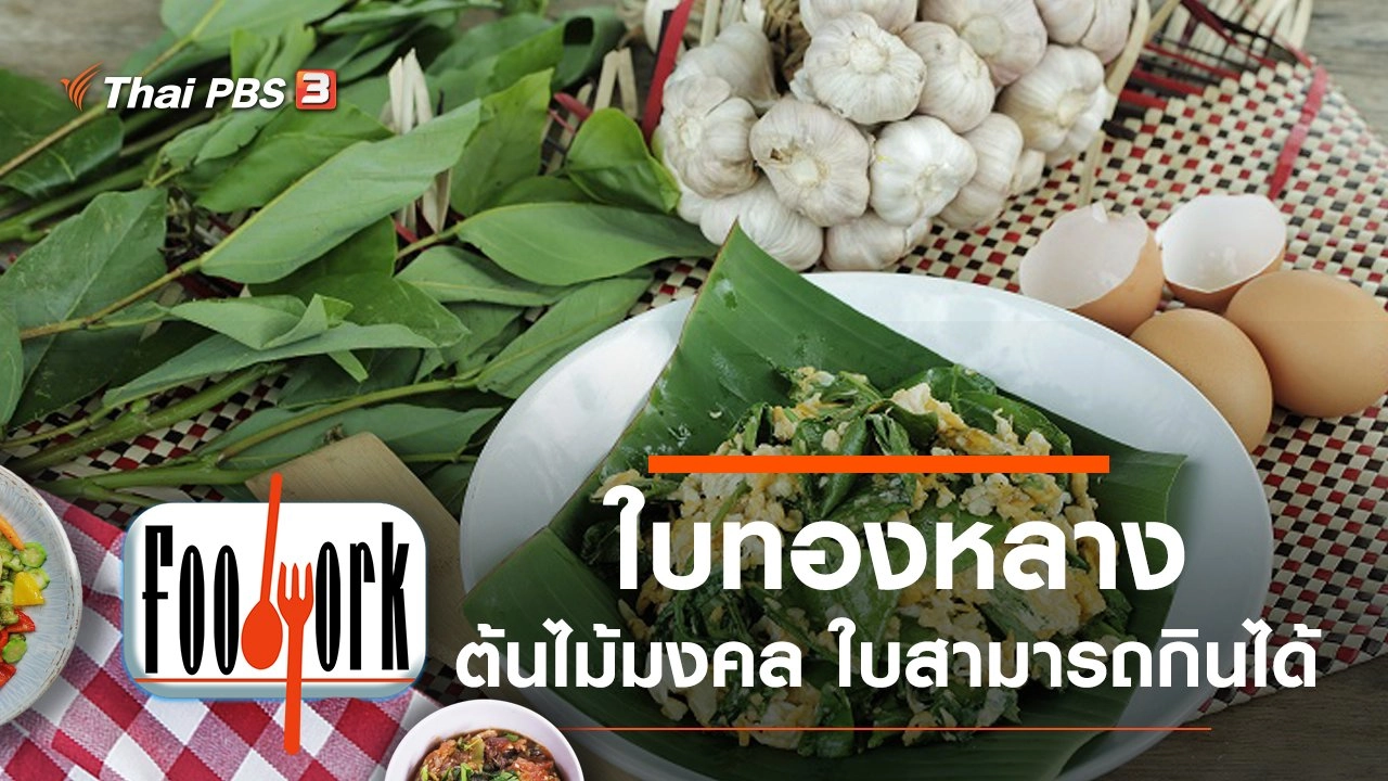 ใบทองหลาง