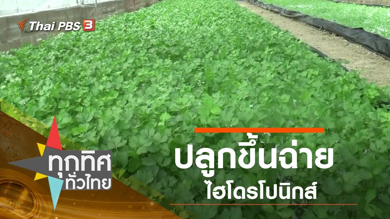 ทุกทิศทั่วไทย