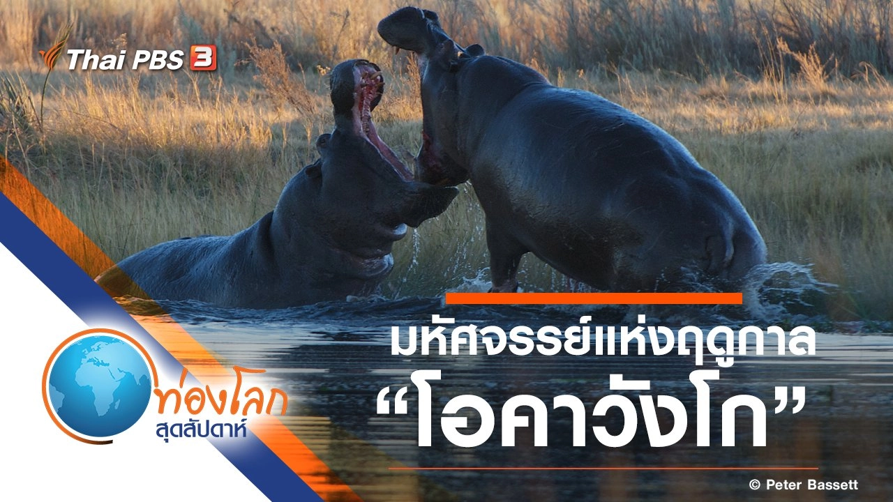 มหัศจรรย์แห่งฤดูกาล ตอน โอคาวังโก