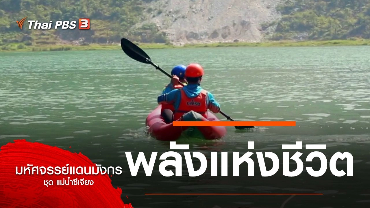 พลังแห่งชีวิต