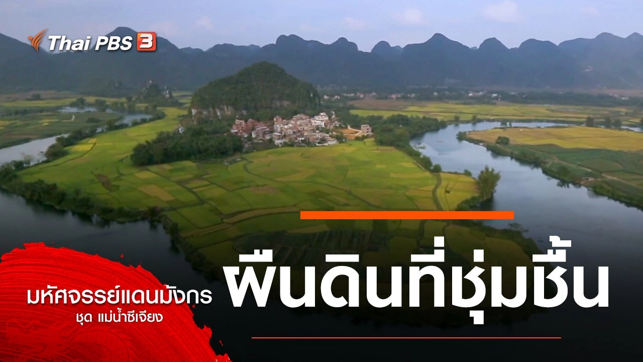 ผืนดินที่ชุ่มชื้น