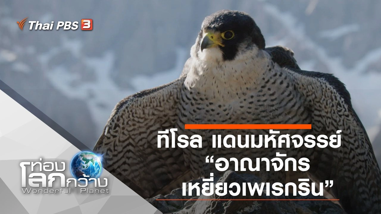 ทีโรล แดนมหัศจรรย์ ตอน อาณาจักรเหยี่ยวเพเรกริน