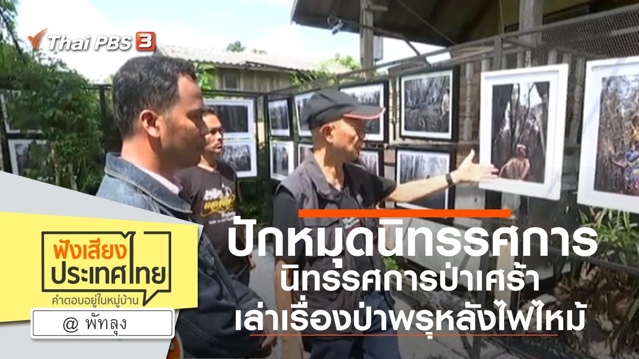 Online first Ep.82 ปักหมุด “นิทรรศการป่าเศร้า” เล่าเรื่องป่าพรุหลังไฟไหม้