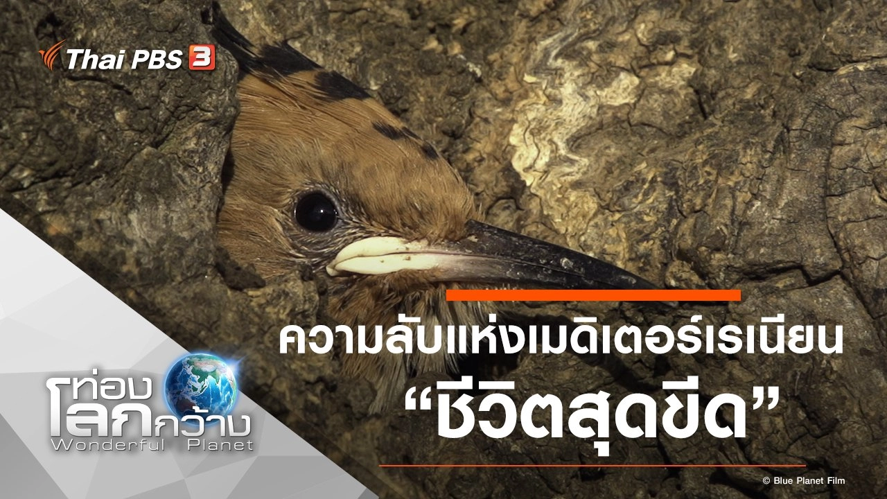 ความลับแห่งเมดิเตอร์เรเนียน ตอน ชีวิตสุดขีด