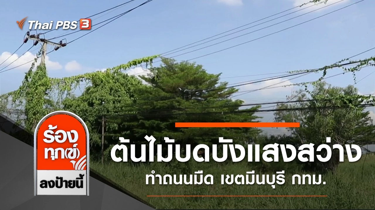 ต้นไม้บดบังแสงสว่าง ทำถนนมืด เขตมีนบุรี กทม.