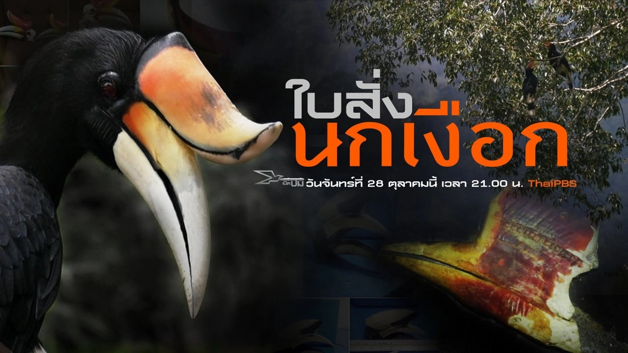 ใบสั่งนกเงือก