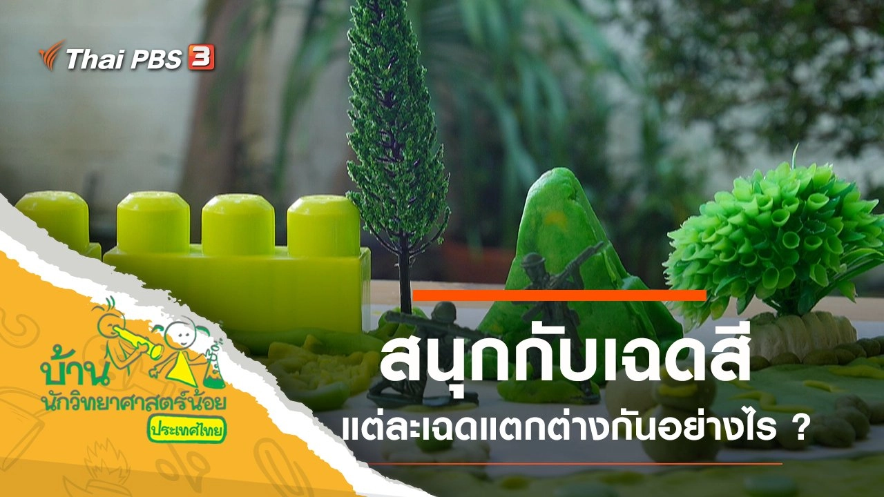 สนุกกับเฉดสี