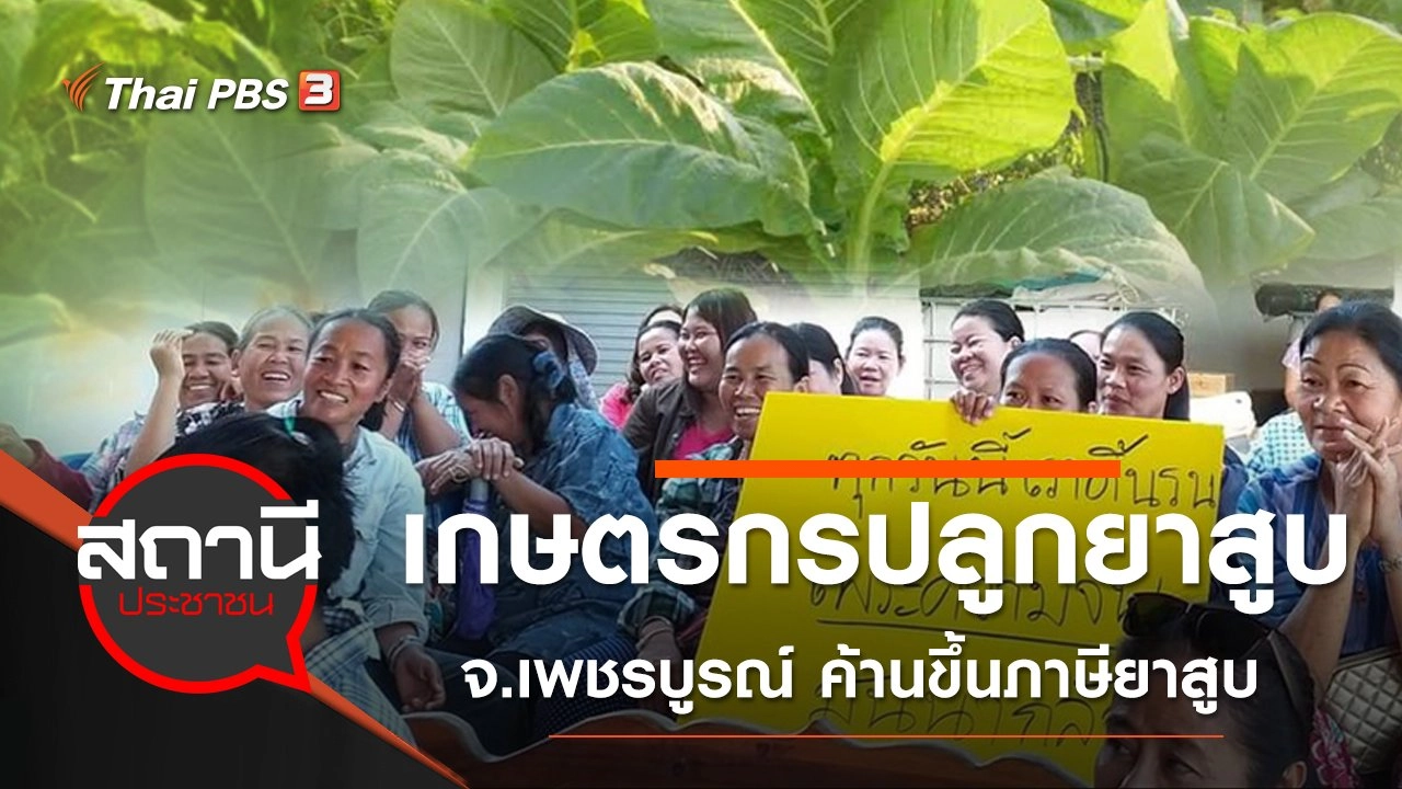 เกษตรกรปลูกยาสูบ จ.เพชรบูรณ์ ค้านขึ้นภาษียาสูบ