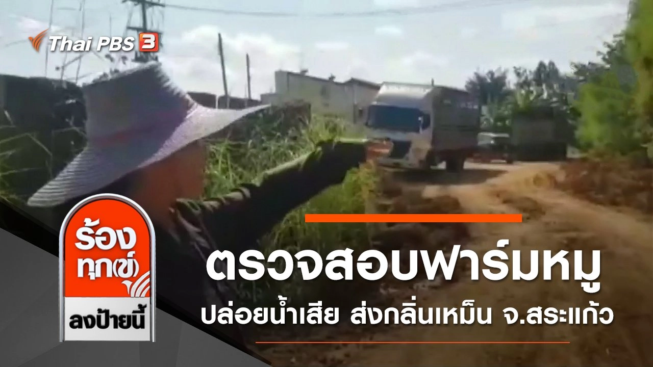 ตรวจสอบฟาร์มหมูปล่อยน้ำเสีย ส่งกลิ่นเหม็น จ.สระแก้ว