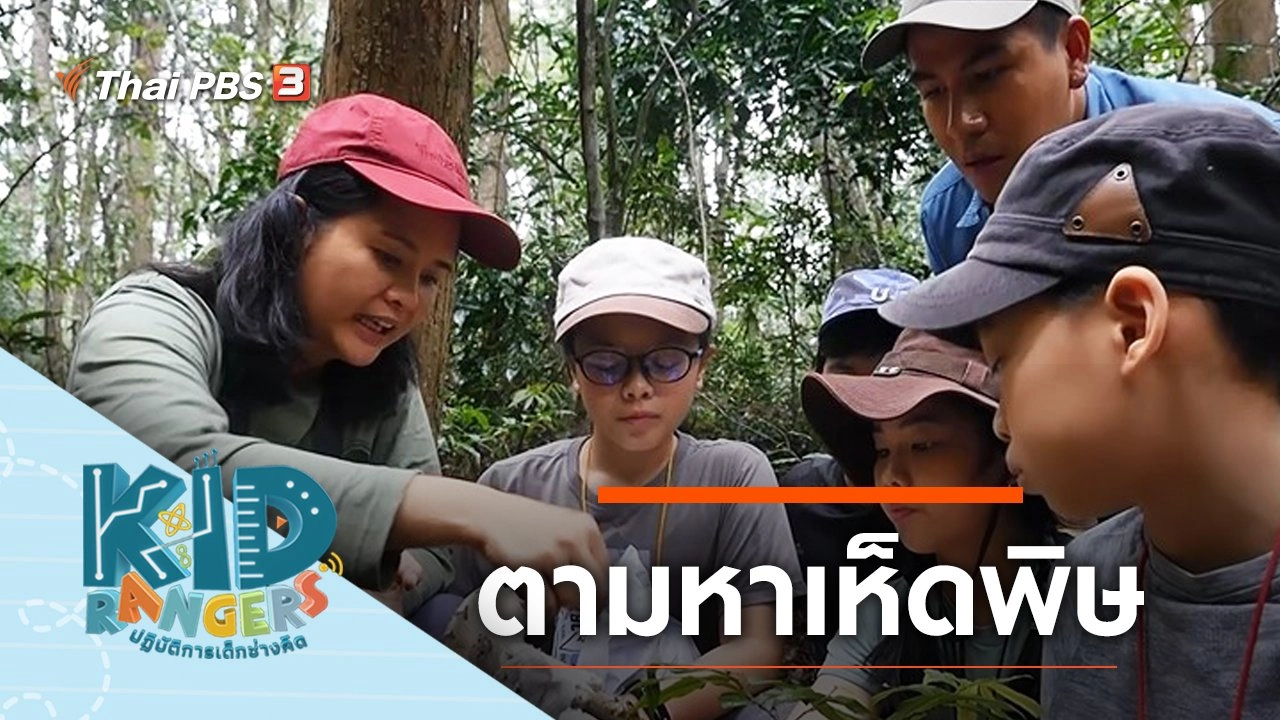 ตามหาเห็ดพิษ