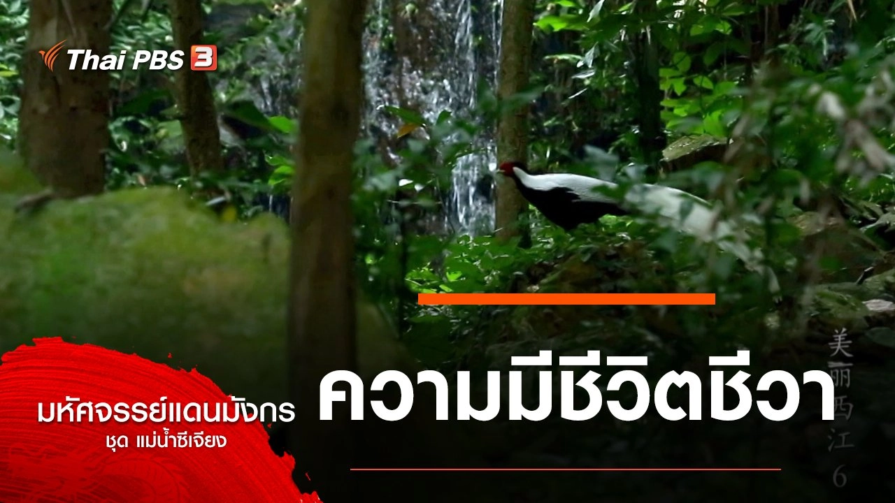 ความมีชีวิตชีวา