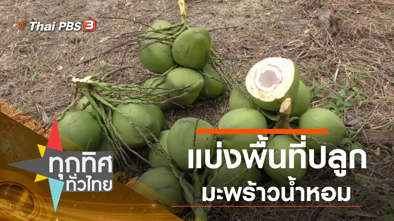 ประเด็นข่าว (8 พ.ย. 62)