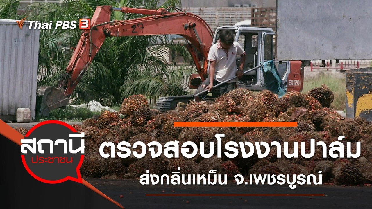 ตรวจสอบโรงงานปาล์มส่งกลิ่นเหม็น จ.เพชรบูรณ์