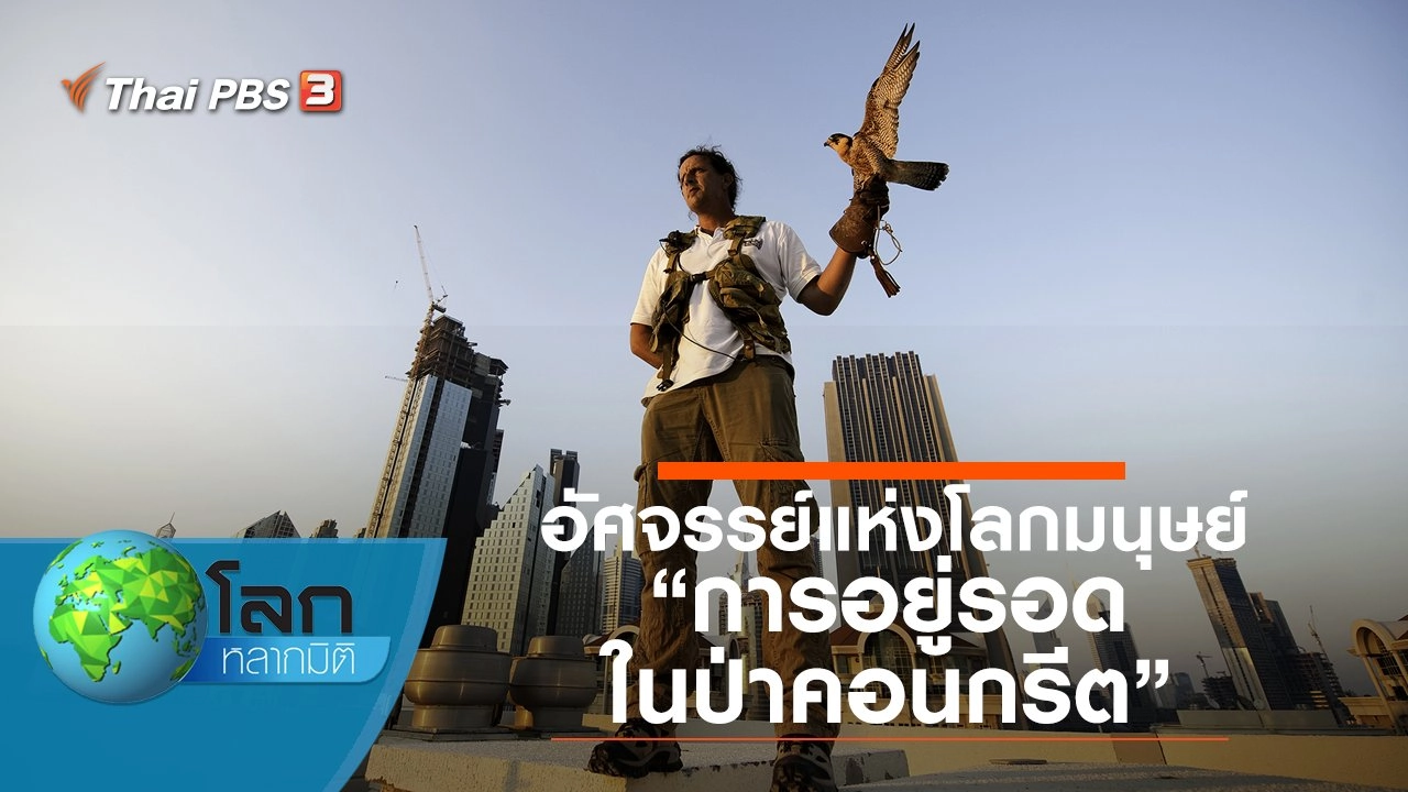 อัศจรรย์แห่งโลกมนุษย์ ตอน การอยู่รอดในป่าคอนกรีต