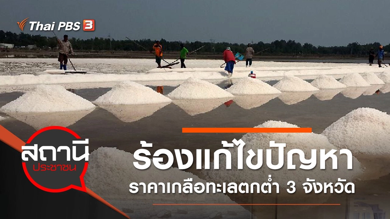 ร้องแก้ไขปัญหาราคาเกลือทะเลตกต่ำ 3 จังหวัด