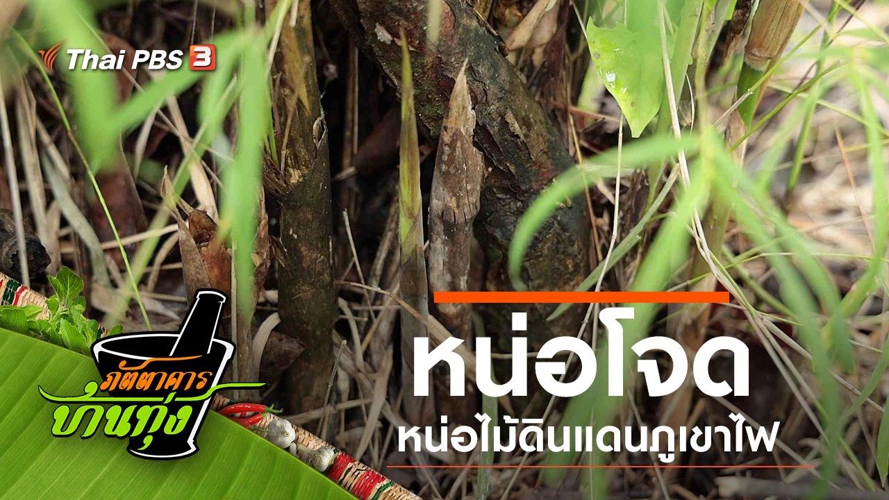 หน่อโจด