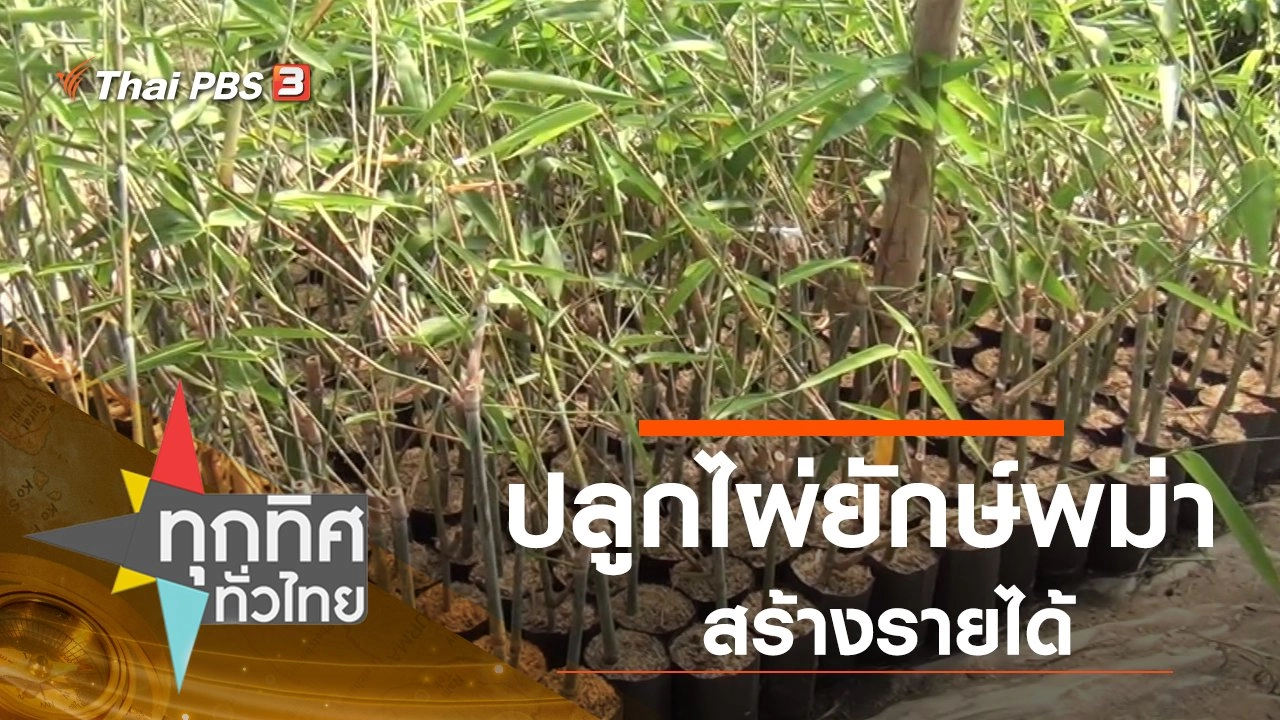 ประเด็นข่าว (14 พ.ย. 62)