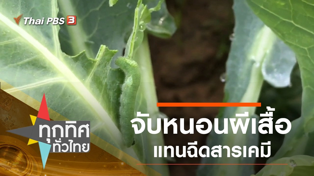 ประเด็นข่าว (18 พ.ย. 62)