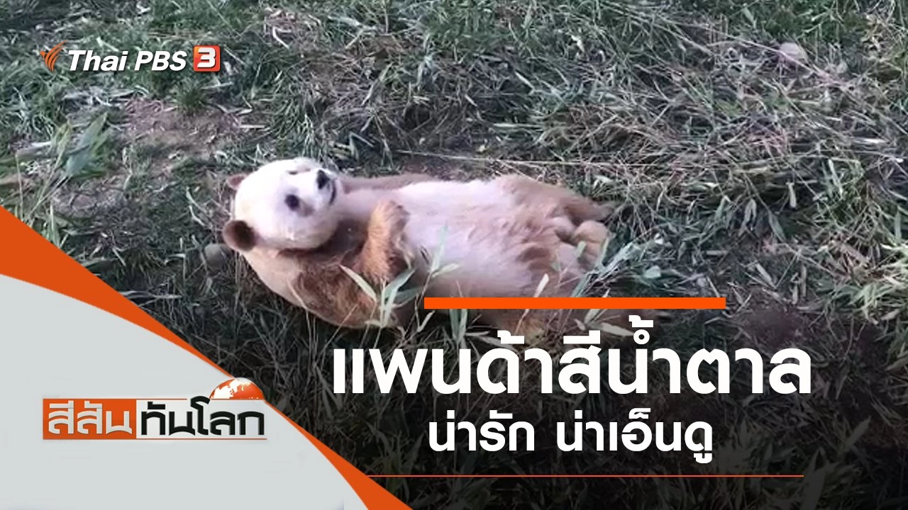 ประเด็นข่าว (23 พ.ย. 62)