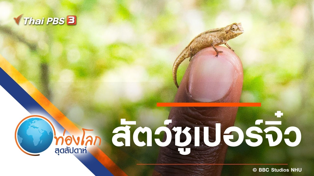 สัตว์ซูเปอร์จิ๋ว