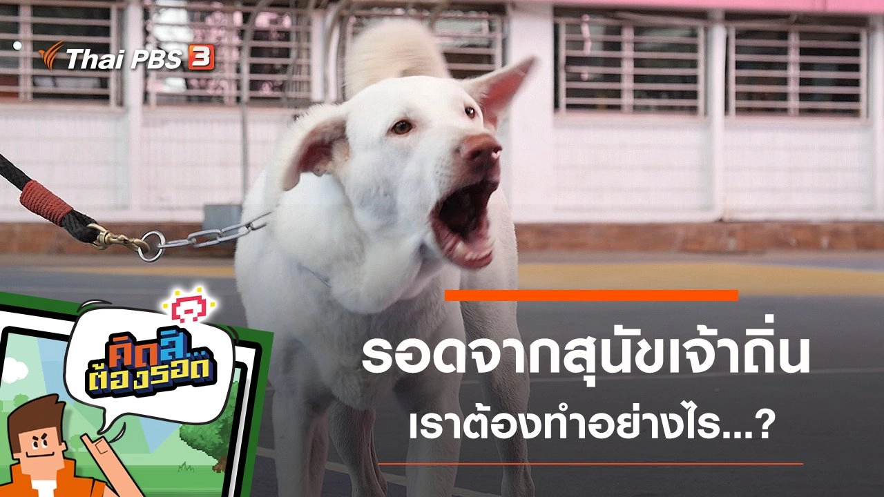 รอดจากสุนัขเจ้าถิ่น