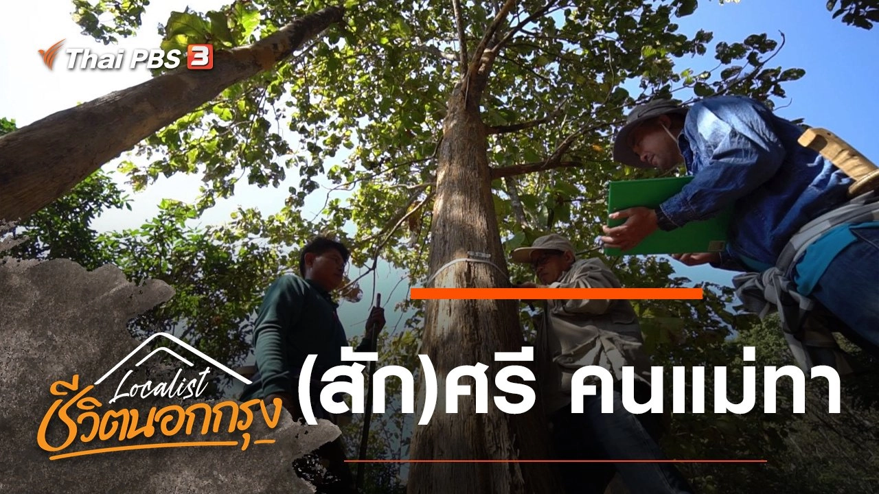 (สัก)ศรี คนแม่ทา